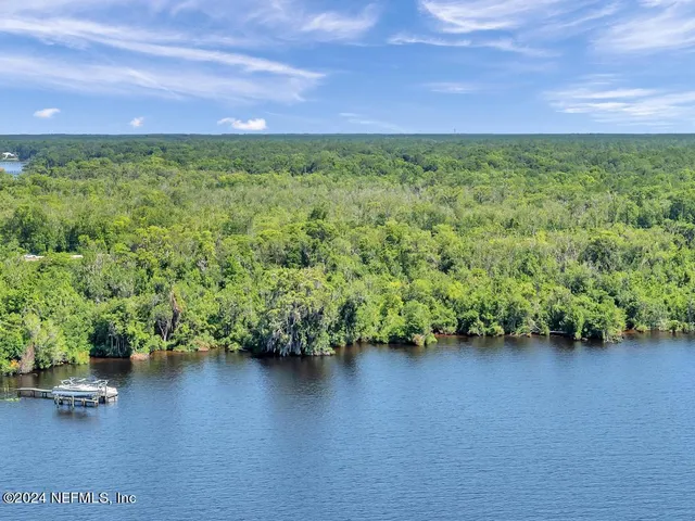 a view of a garden with a bench