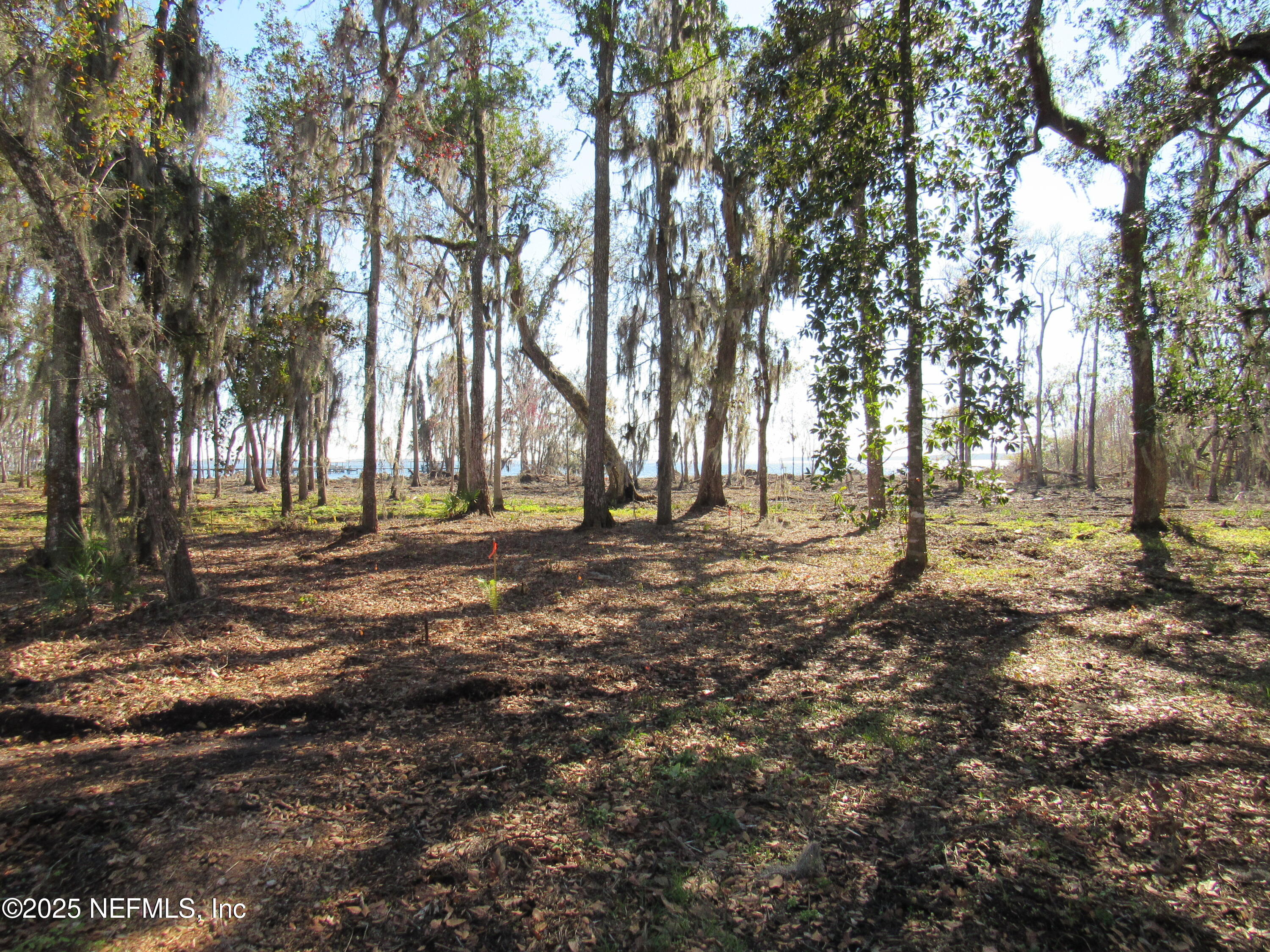 0 State Road 13 St. Augustine, FL 32092 - Photo 5 of 36 a view of outdoor space with trees