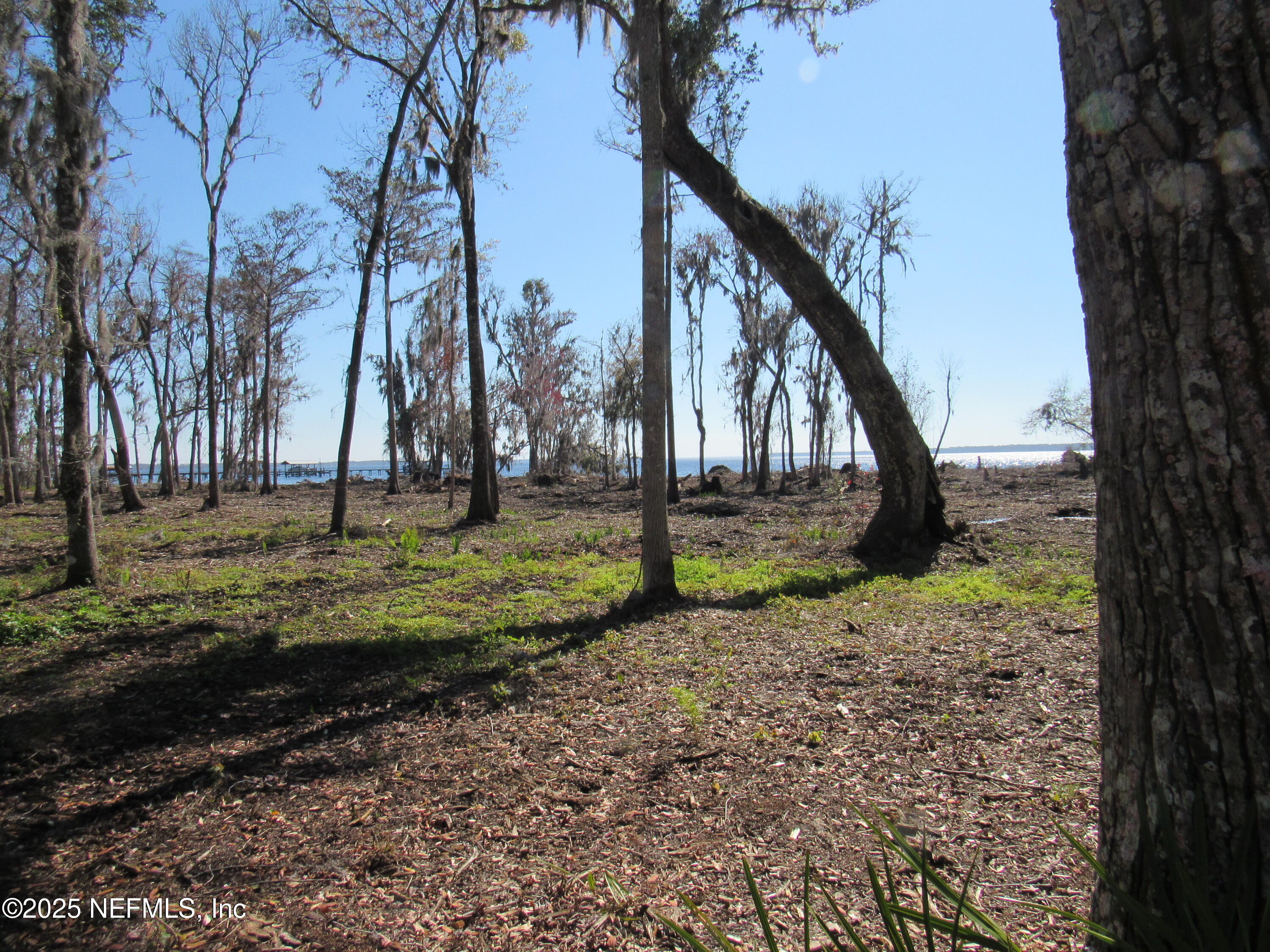 0 State Road 13 St. Augustine, FL 32092 - Photo 6 of 36 a backyard of a house with lots of green space