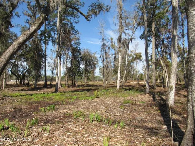 a backyard of apartments with large trees