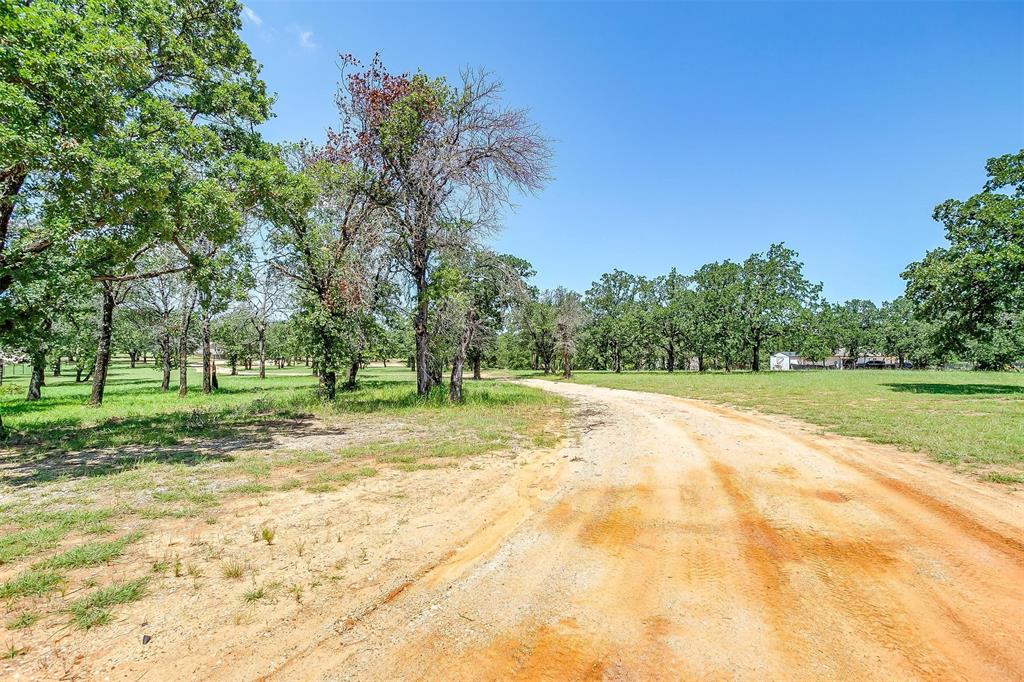 410 Wild Hill Springtown, TX 76082 - Photo 13 of 19 a view of a yard with plants and trees