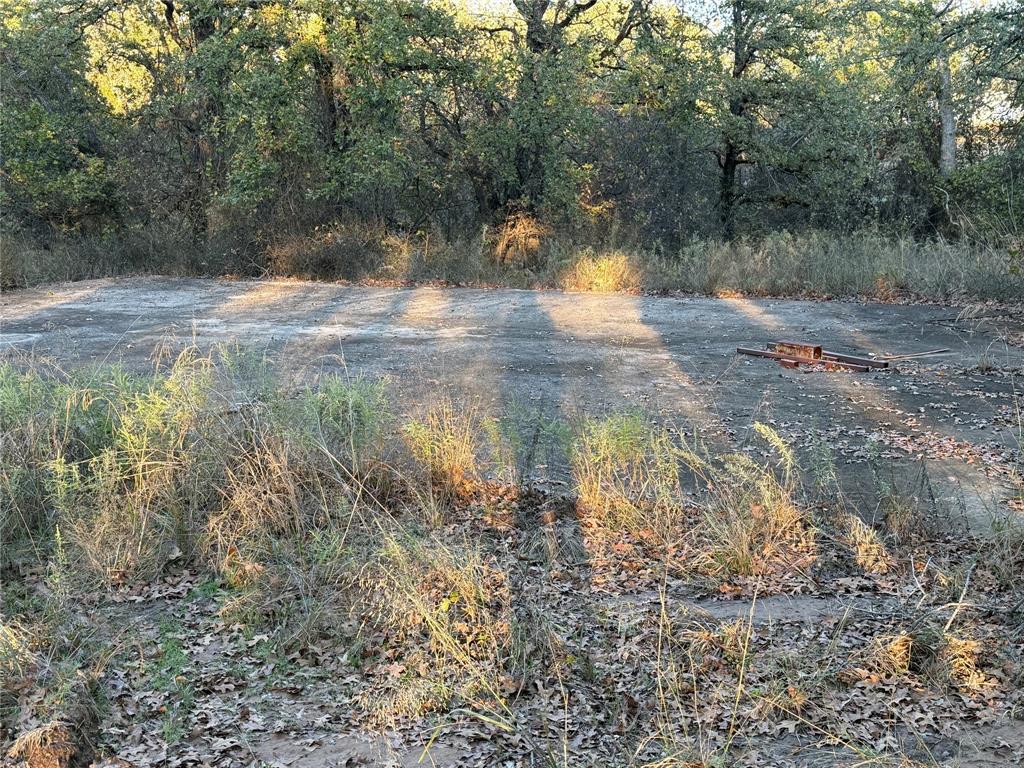 410 Wild Hill Springtown, TX 76082 - Photo 17 of 19 a view of back yard of a house