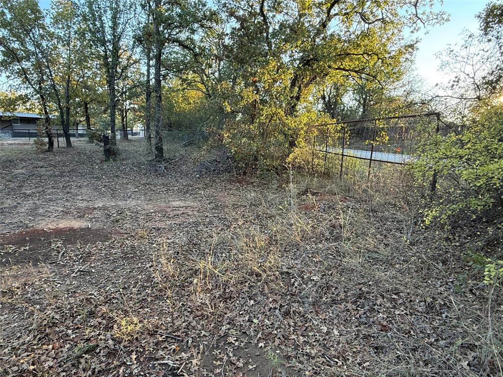 410 Wild Hill Springtown, TX 76082 - Photo 19 of 19 a backyard of a house with lots of plants and large tree