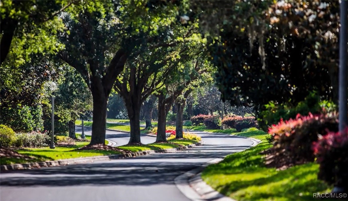 51 West Doerr Path Hernando, FL 34442 - Photo 66 of 88
