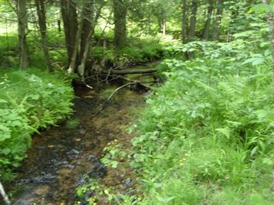 South Skinkle Road East Jordan, MI 49615 - Photo 2 of 2 Additional Photo