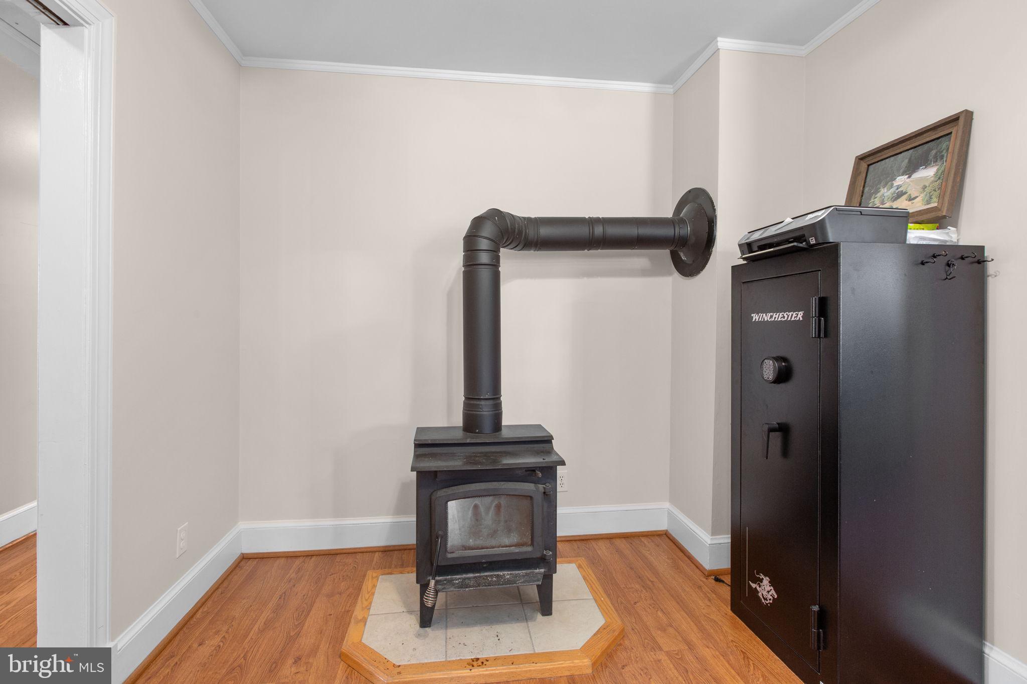 10122 Elys Ford Road Fredericksburg, VA 22407 - Photo 42 of 89 wood stove in Den