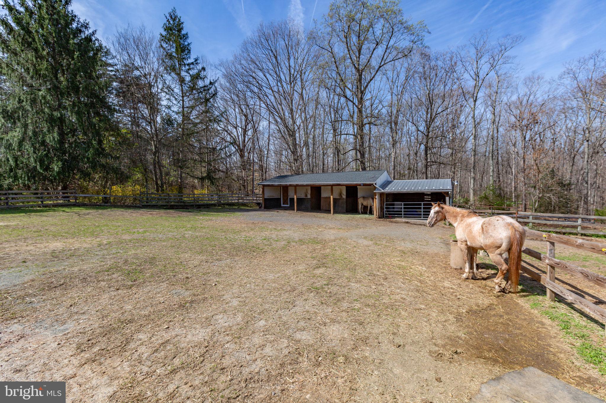 10122 Elys Ford Road Fredericksburg, VA 22407 - Photo 60 of 89 Barn area