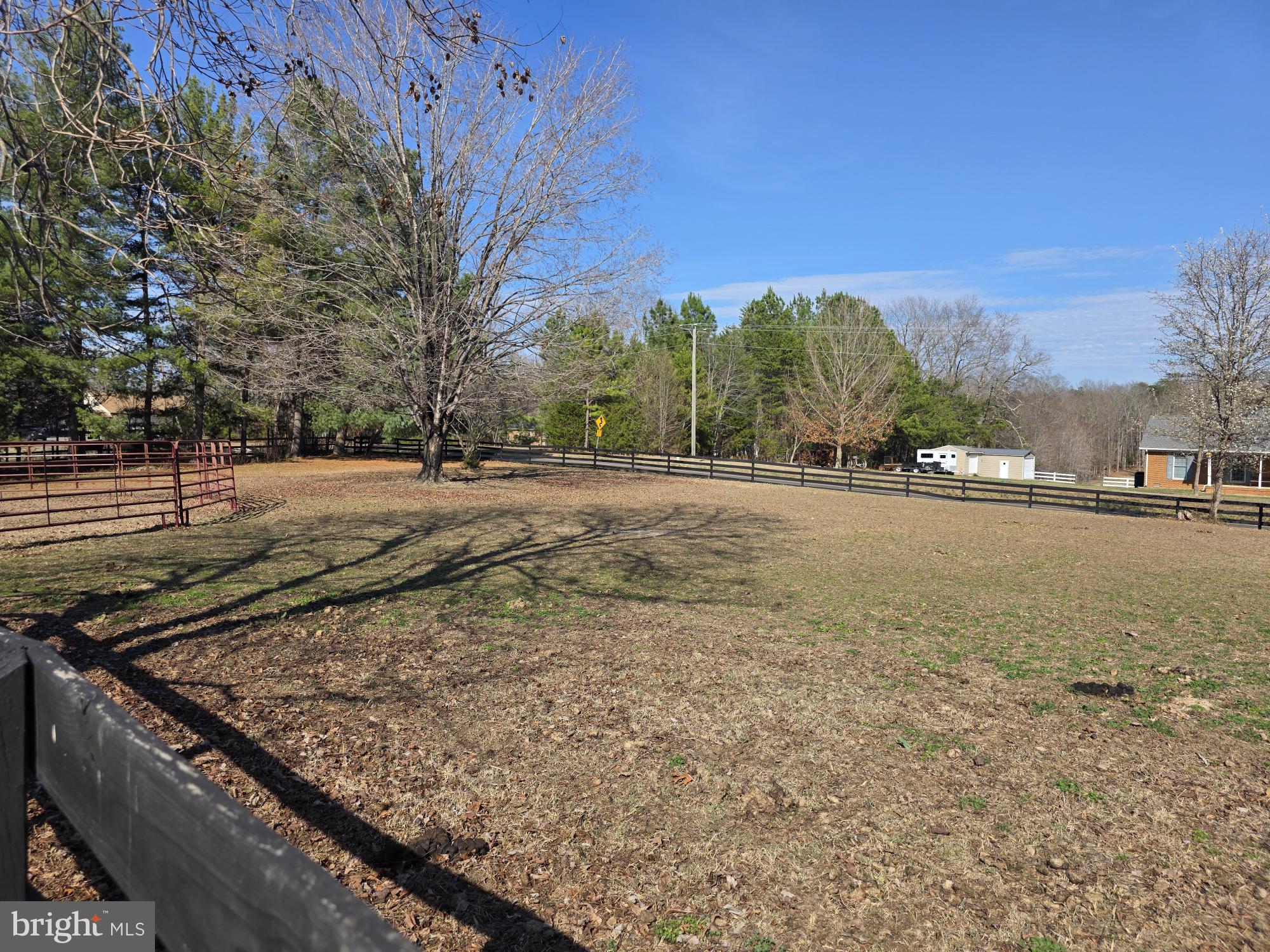 10122 Elys Ford Road Fredericksburg, VA 22407 - Photo 6 of 89 Spacious lot with serene tree line.
