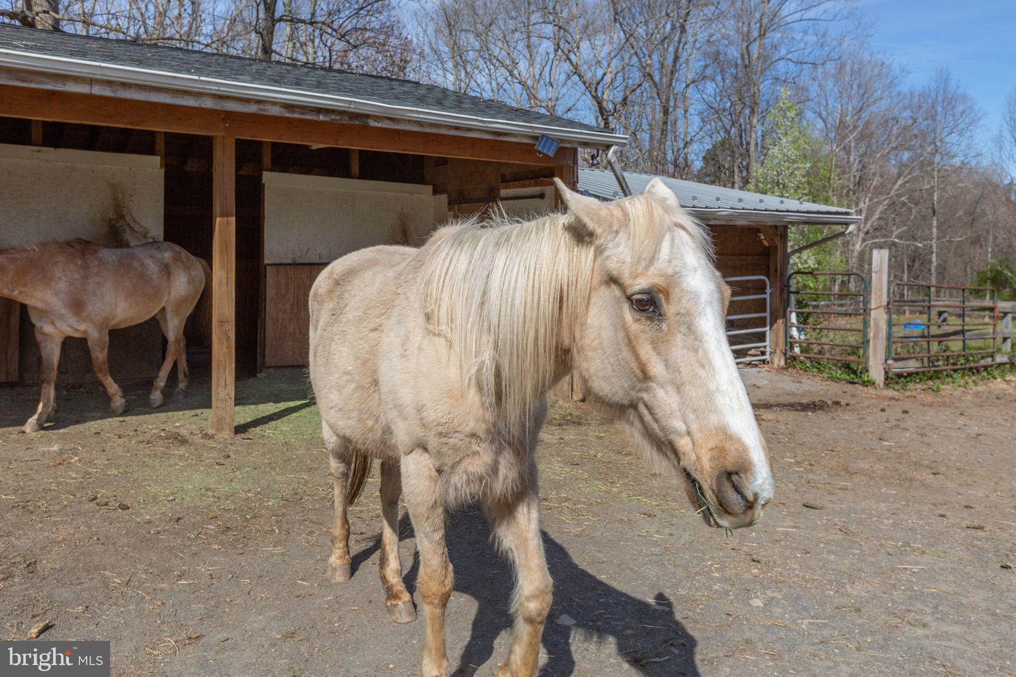 10122 Elys Ford Road Fredericksburg, VA 22407 - Photo 65 of 89
