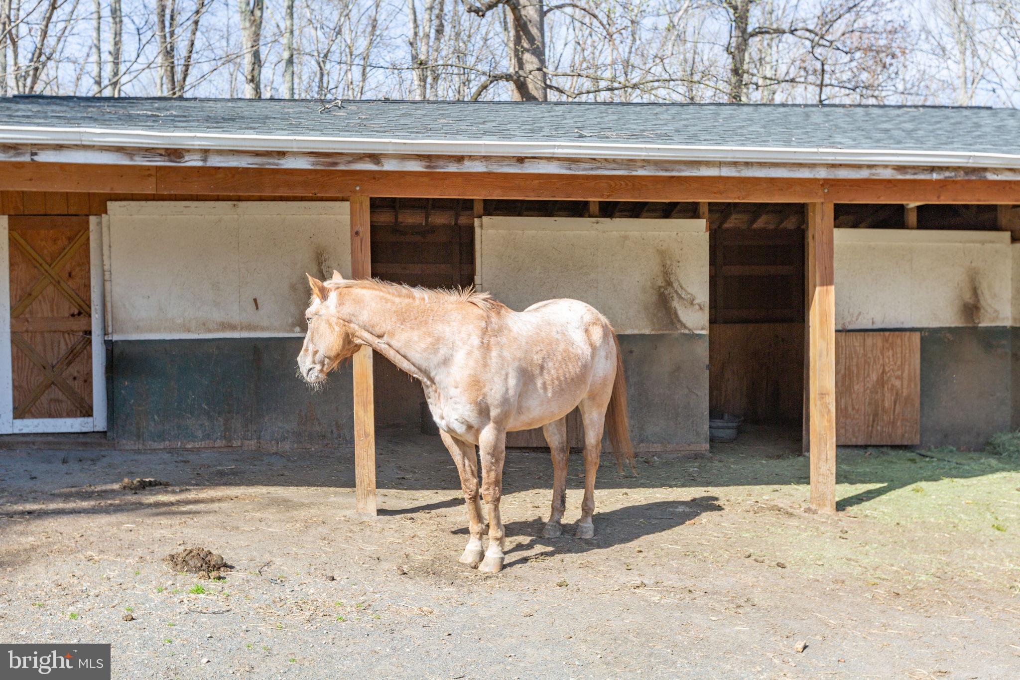 10122 Elys Ford Road Fredericksburg, VA 22407 - Photo 66 of 89