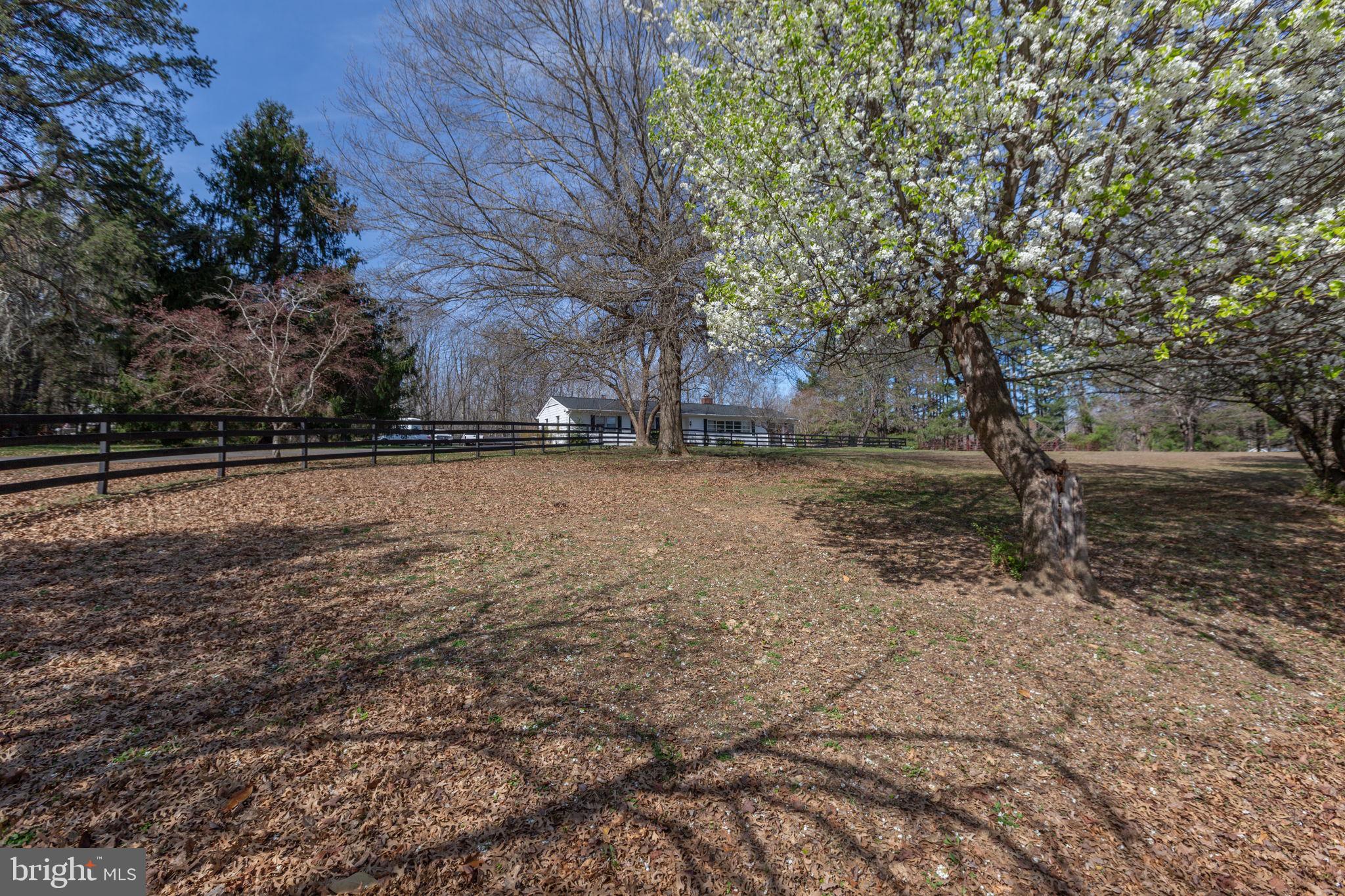 10122 Elys Ford Road Fredericksburg, VA 22407 - Photo 67 of 89 front field