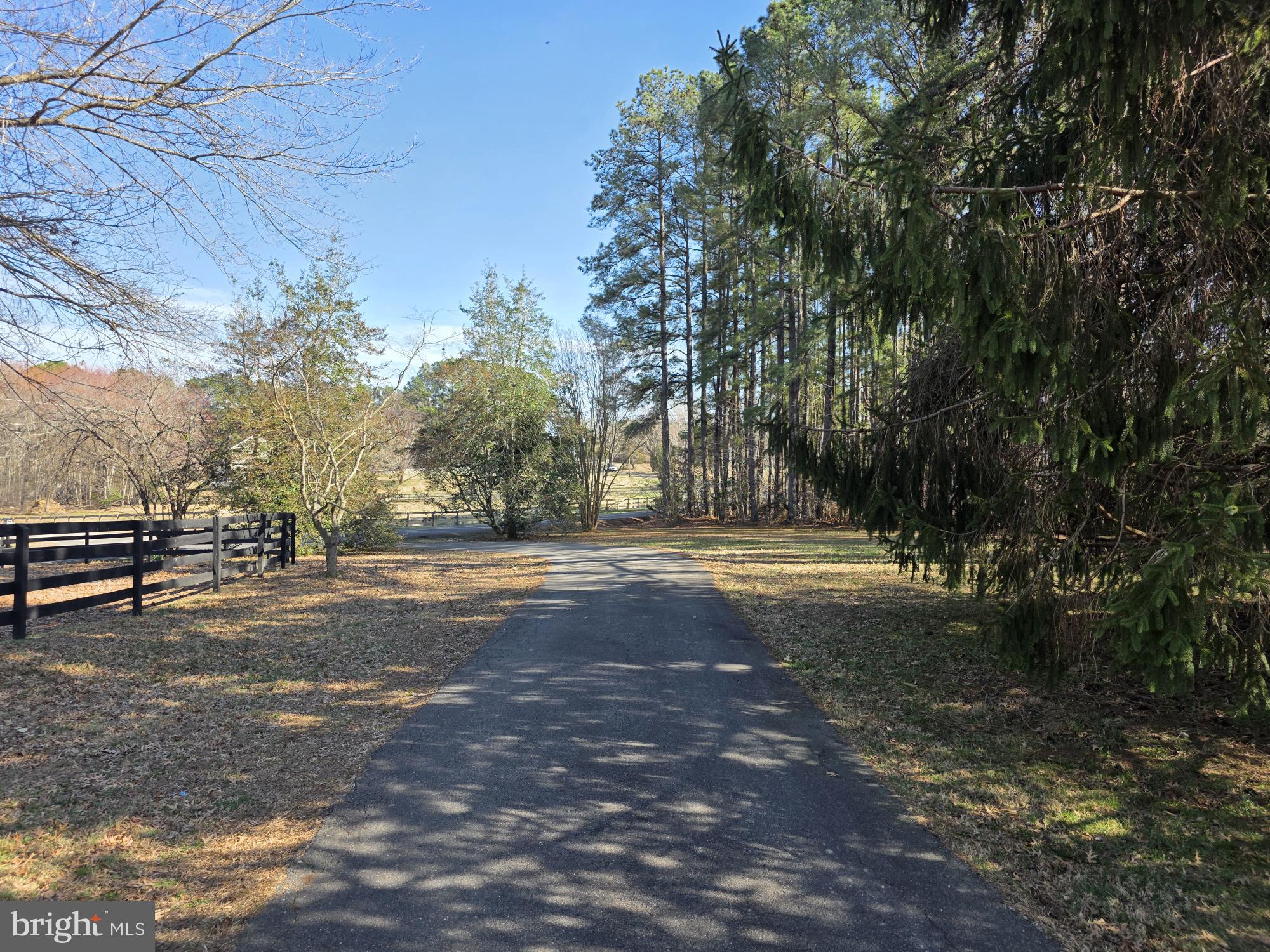 10122 Elys Ford Road Fredericksburg, VA 22407 - Photo 9 of 89 Serene country lane awaits exploration.