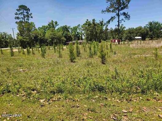 Lot 1 Azalea Bristol, FL 32321 - Photo 1 of 1 Gallery Image 1