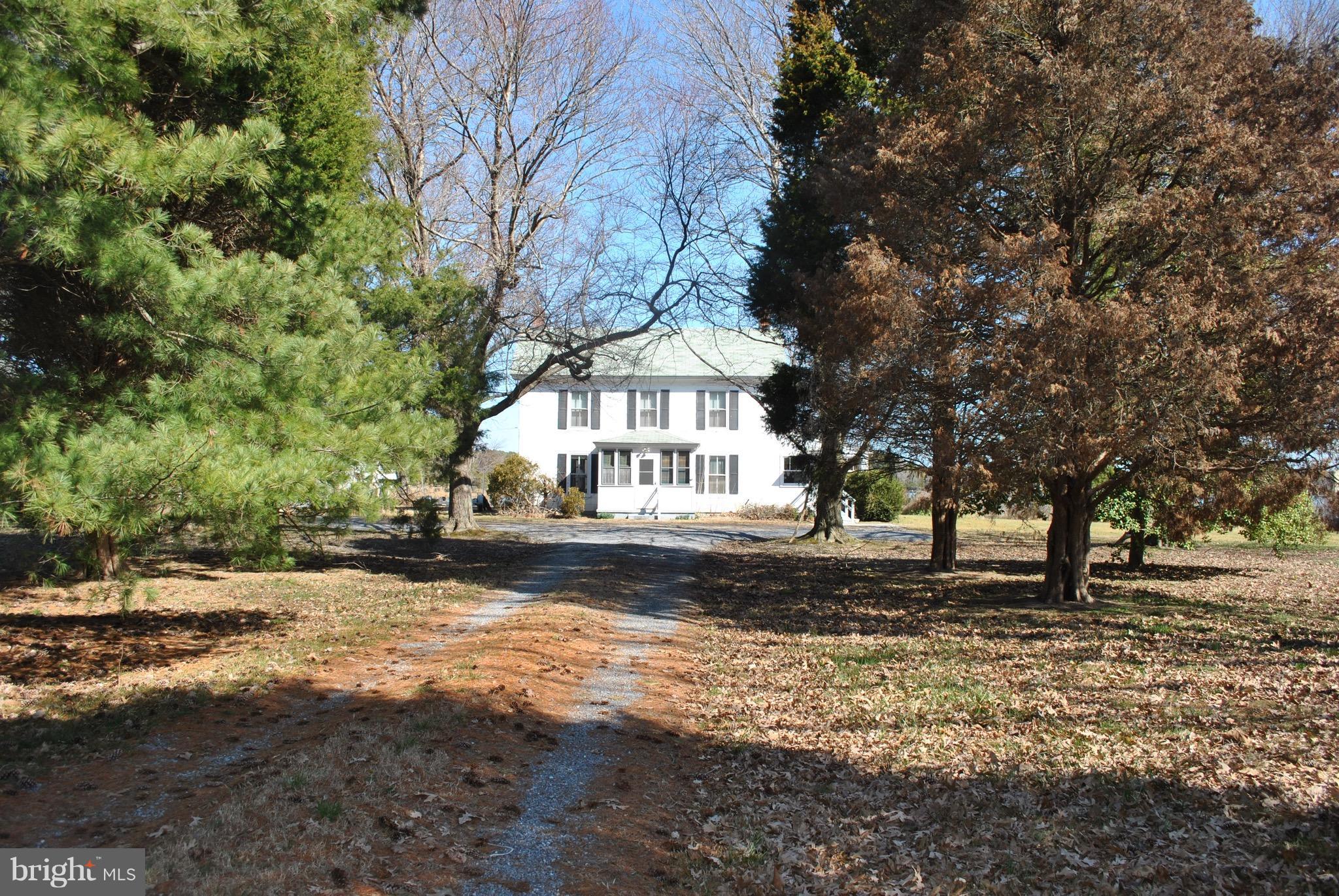 6421 Bozman Neavitt Road Neavitt, MD 21652 - Photo 5 of 14 Home sets down a tree lined driveway on 1.72 acres