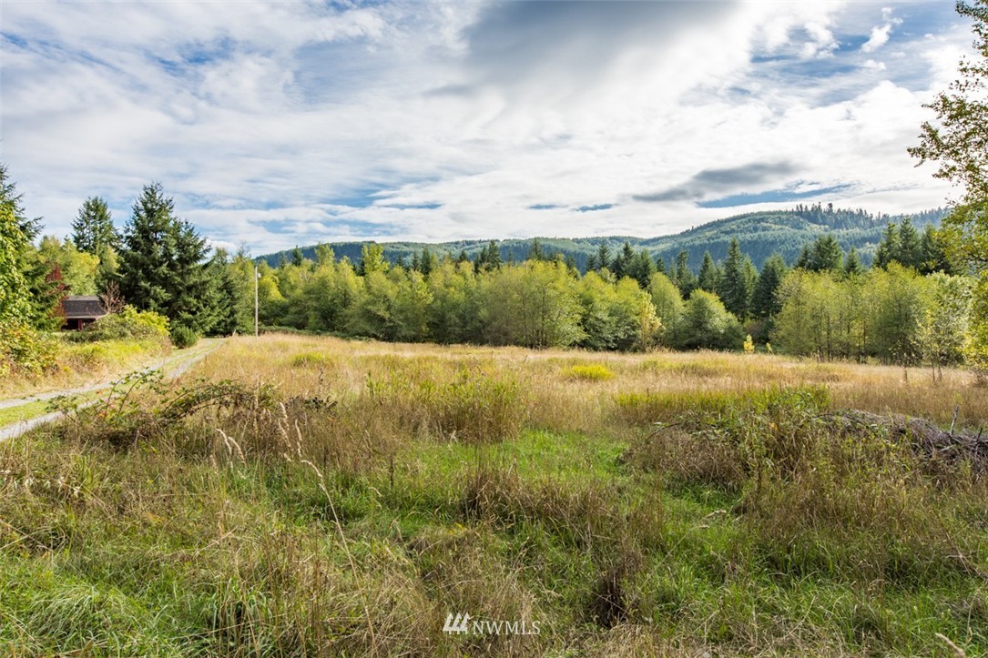 17304 Mulqueen Road Southeast Rainier, WA 98576 - Photo 18 of 19 Gallery Image 18