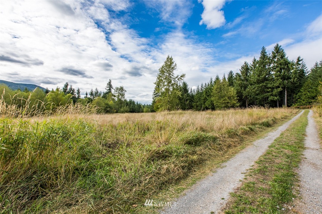 17304 Mulqueen Road Southeast Rainier, WA 98576 - Photo 19 of 19 Gallery Image 19