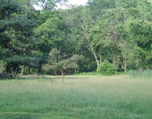 1400 Round Hill Road Elizabeth, PA 15037 - Photo 6 of 18 Land/Lot.