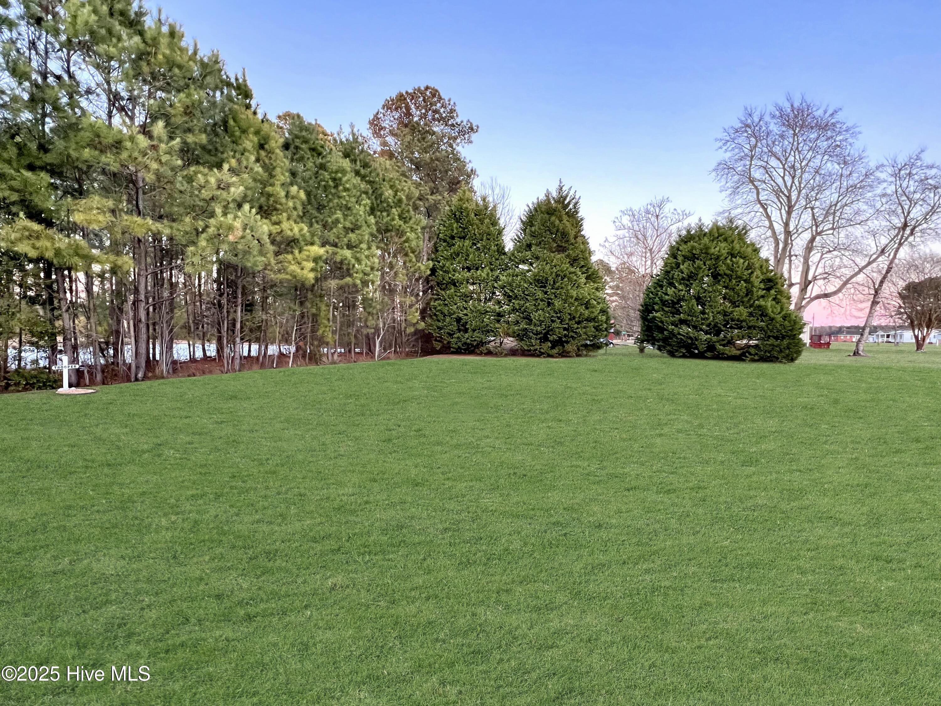 511 Icaria Road Tyner, NC 27980 - Photo 26 of 26 Back yard