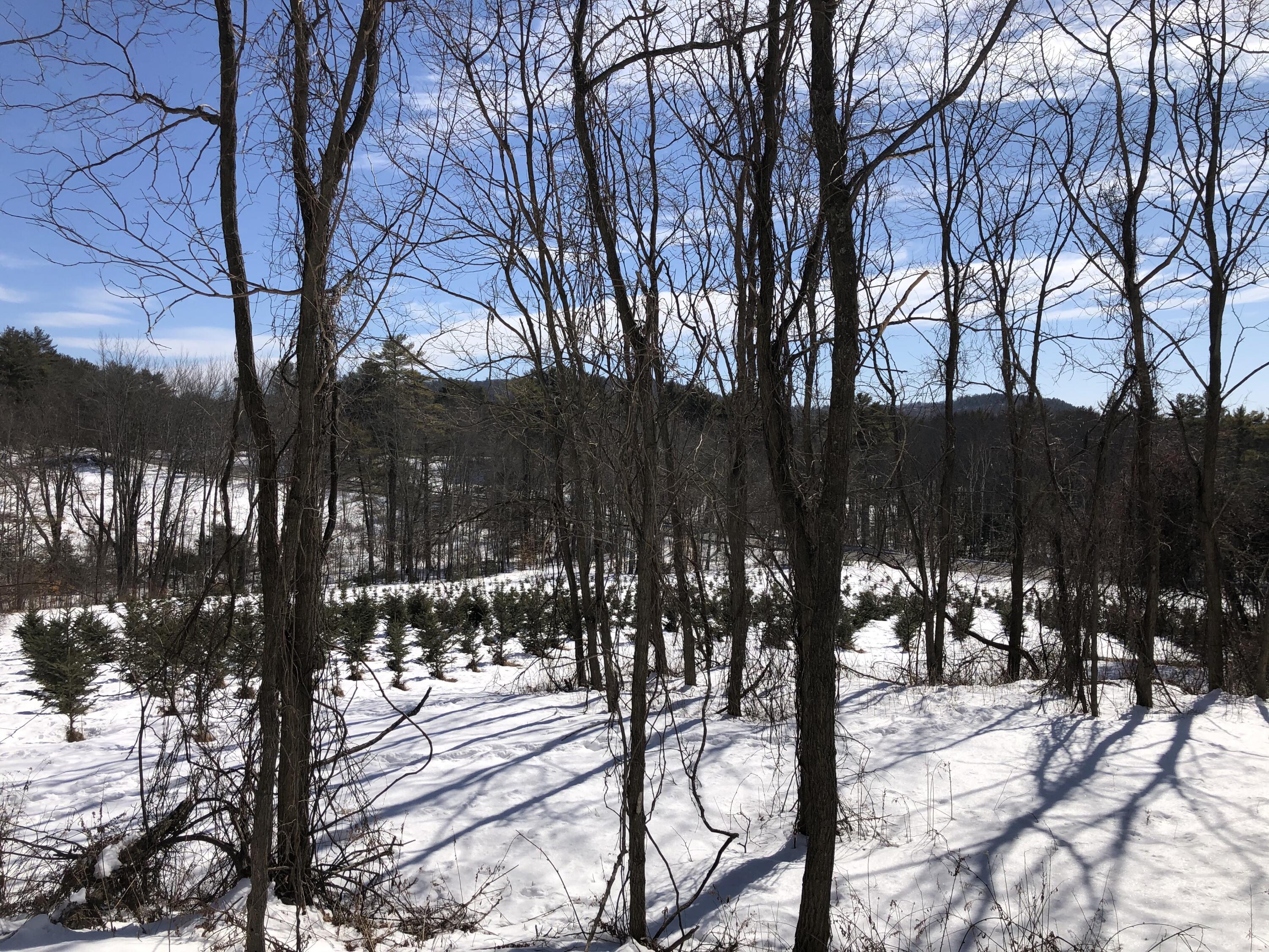 38 Burgess Road Casco, ME 04015 - Photo 23 of 66 Seasonal View