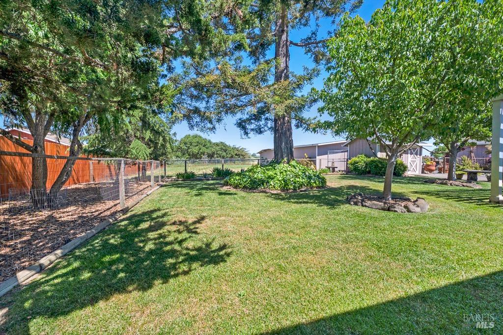 23180 Maffei Road Sonoma, CA 95476 - Photo 36 of 61 Back yard looking to back of property.