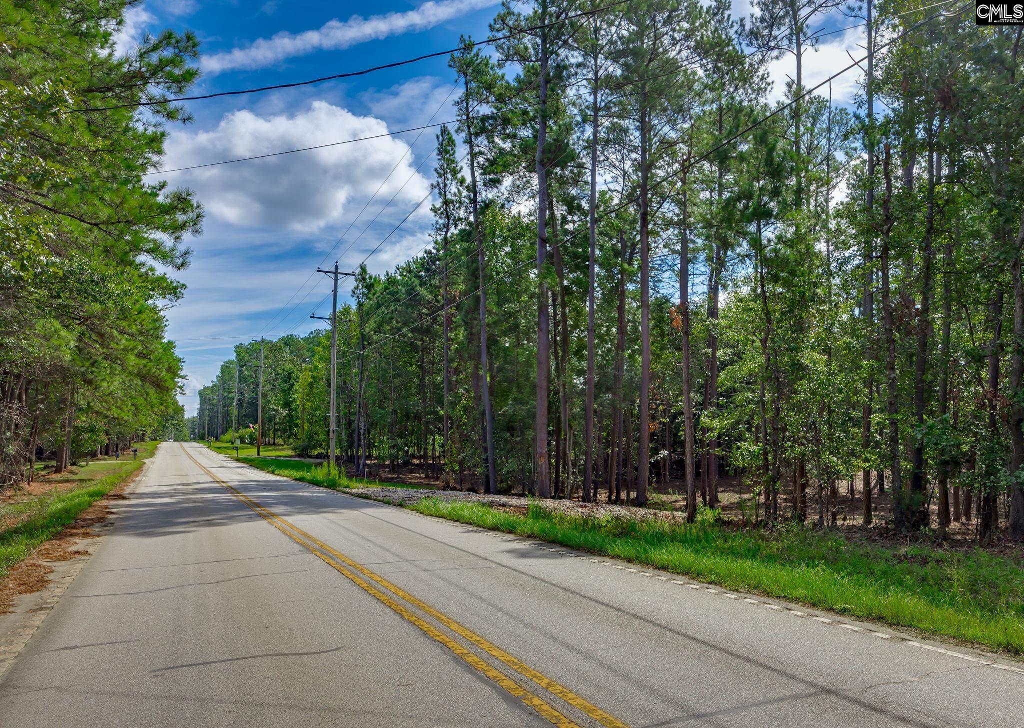 1148 Shull Island Road Gilbert, SC 29054 - Photo 19 of 20