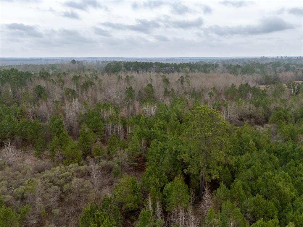 6052 Blocker Road Marshall, TX 75672 - Photo 21 of 22