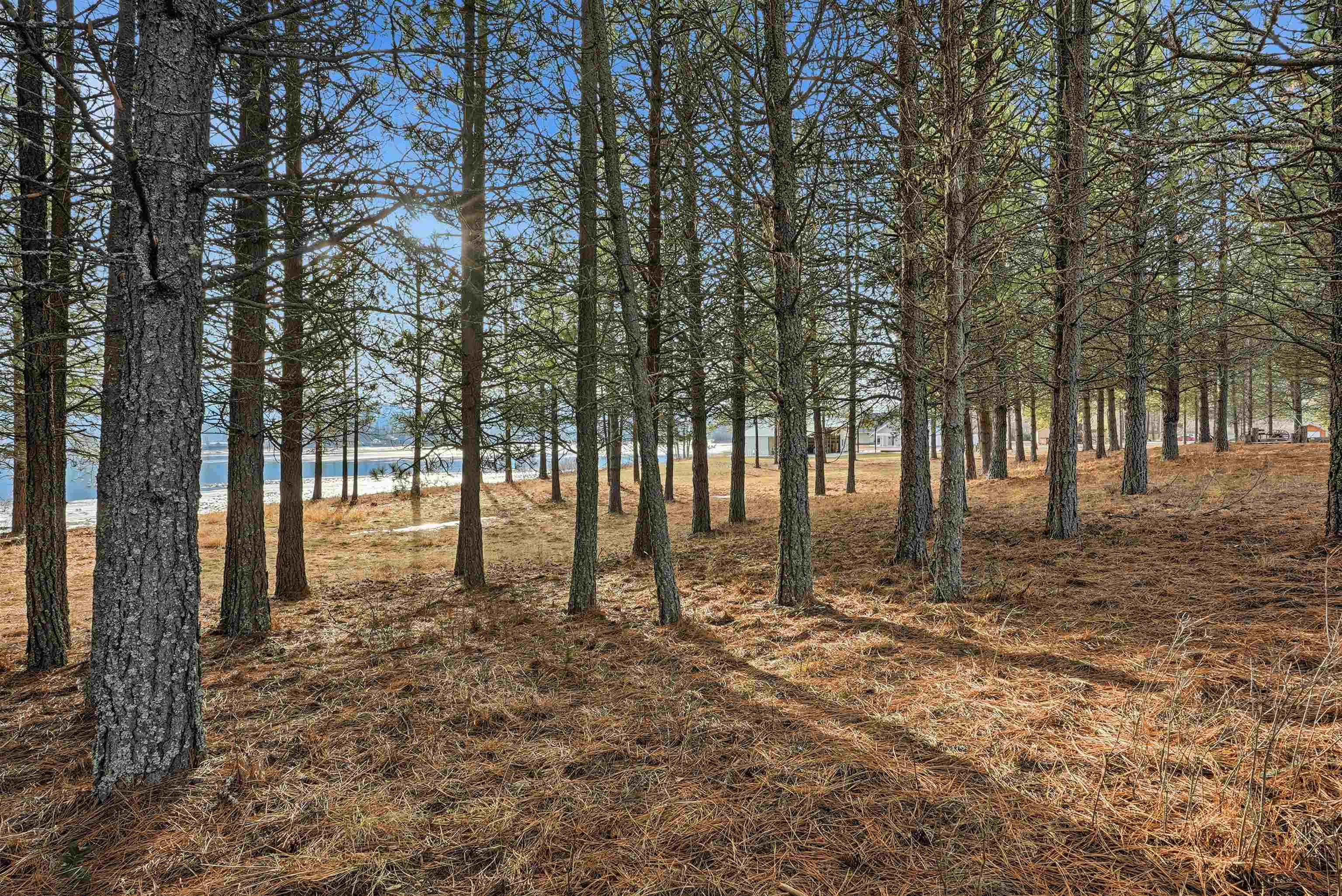 6201 South B S Leclerc Road Newport, WA 99156 - Photo 22 of 39