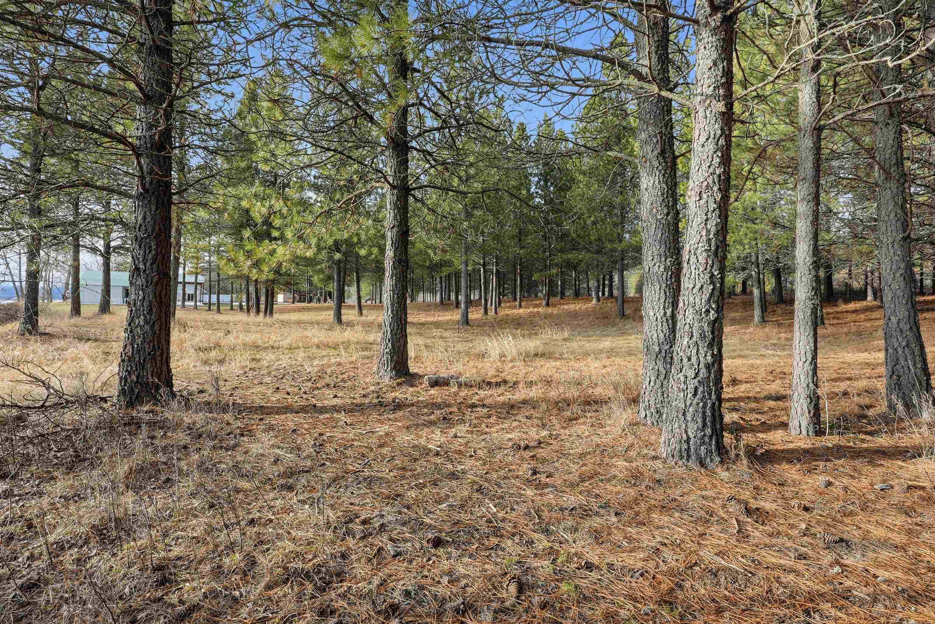 6201 South B S Leclerc Road Newport, WA 99156 - Photo 23 of 39