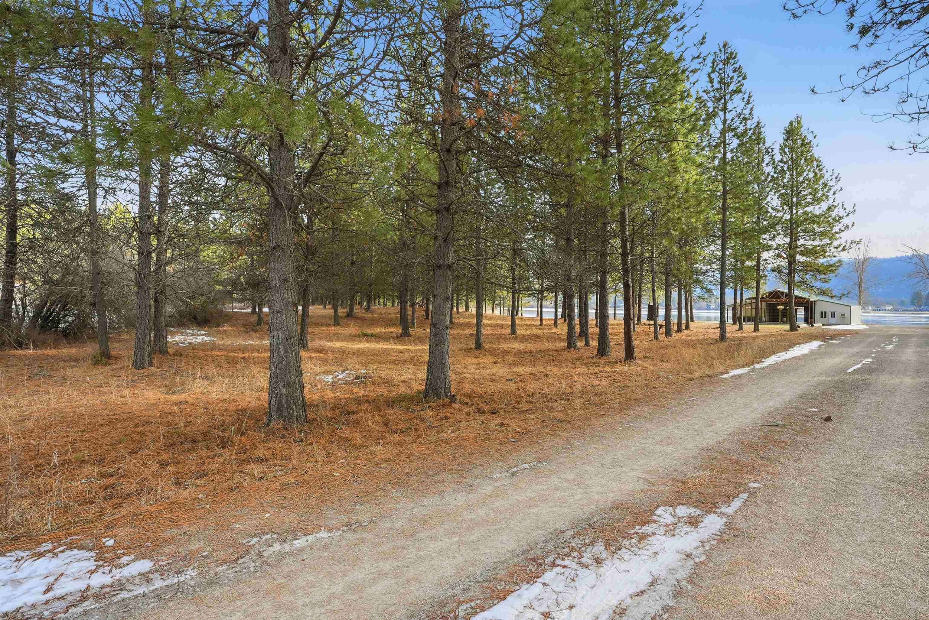 6201 South B S Leclerc Road Newport, WA 99156 - Photo 4 of 39