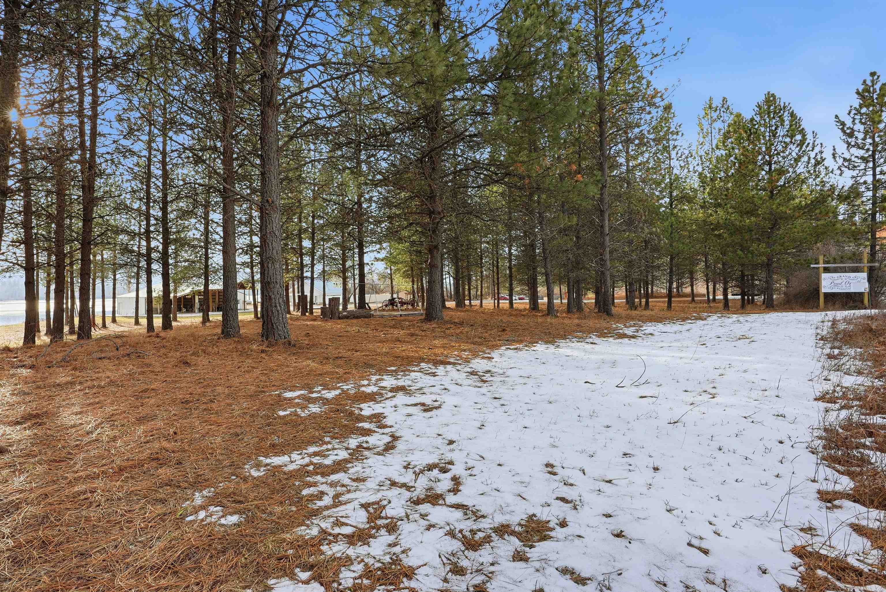 6201 South B S Leclerc Road Newport, WA 99156 - Photo 5 of 39