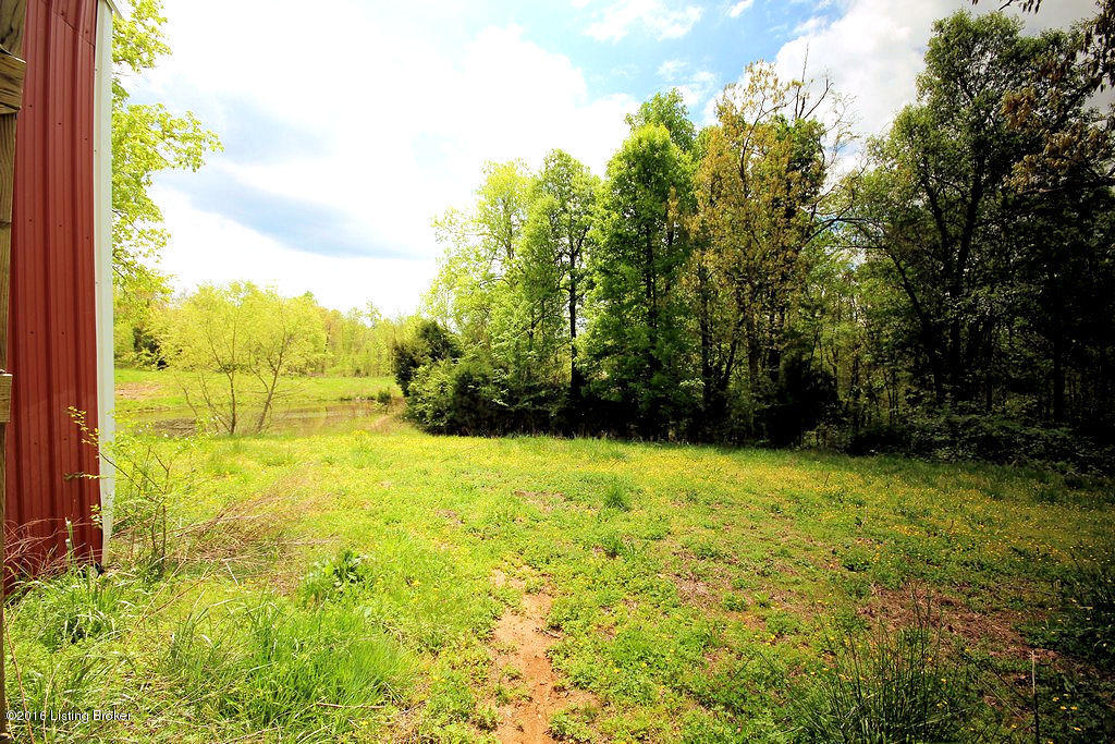 6421 Grancer Road Morgantown, KY 42261 - Photo 14 of 28 101 1 Lacefield Auction