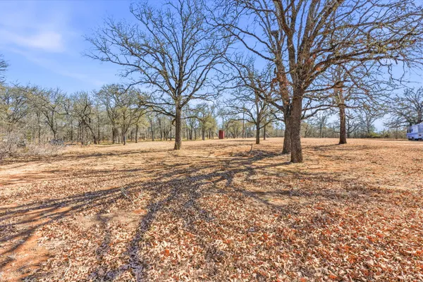 a view of empty space with tree