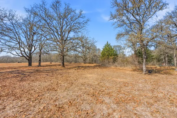 a view of empty yard with trees