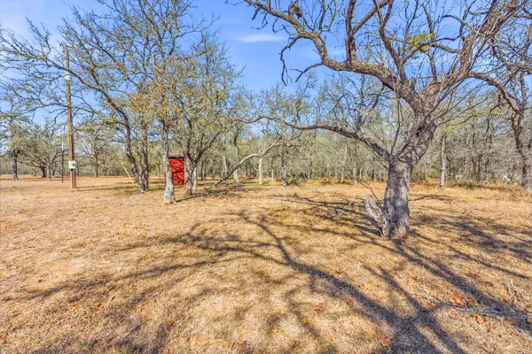 a view of empty space with trees