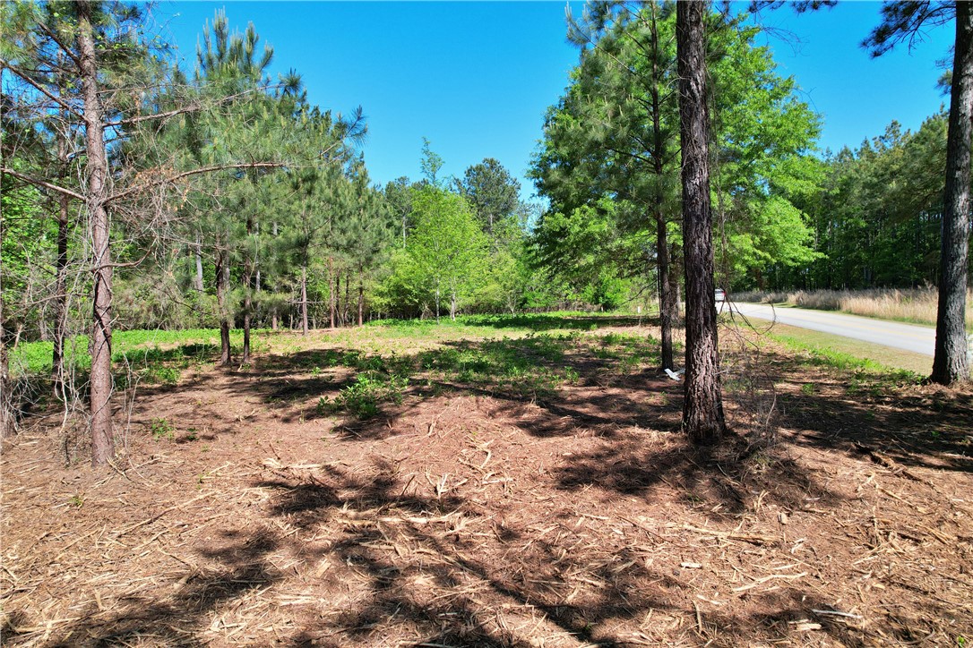 Lot 134 Mcalister Rd Union West Union, SC 29696 - Photo 20 of 43 This verdant parcel, bordered by a quiet road, offers a serene natural setting.