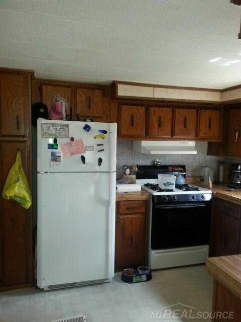 255 Harrington Road Peck, MI 48466 - Photo 4 of 16