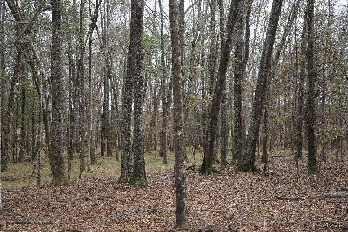 2434 Peake Road Ramer, AL 36069 - Photo 4 of 24 Gallery Image 4