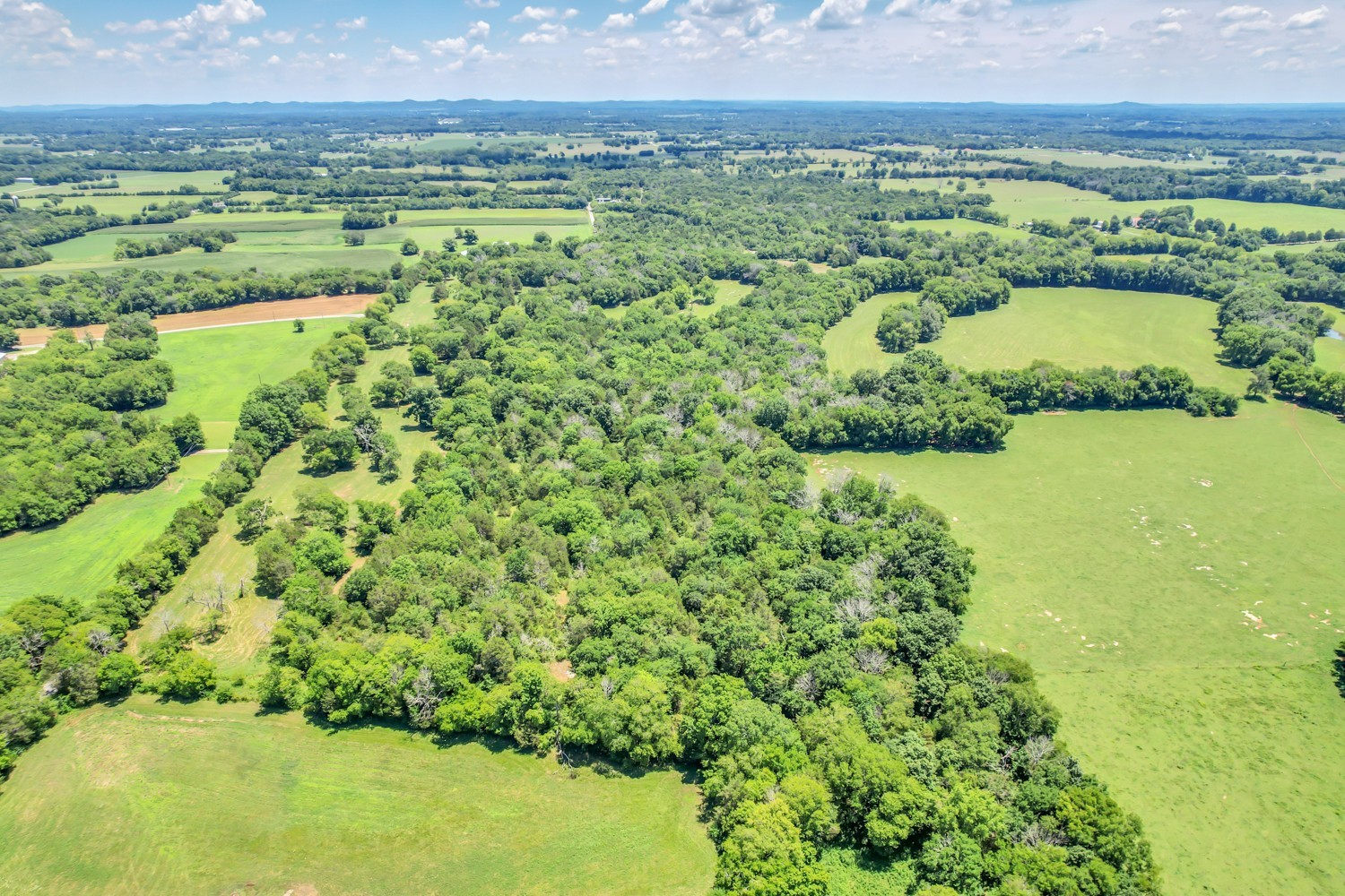 4 Sub Station Road Unionville, TN 37180 - Photo 16 of 40 Gallery Image 16