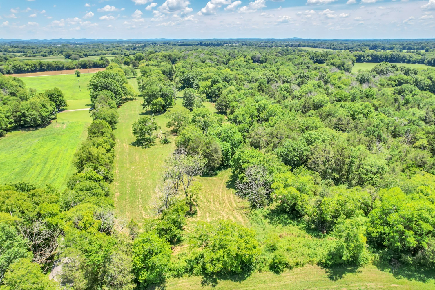 4 Sub Station Road Unionville, TN 37180 - Photo 19 of 40 Gallery Image 19
