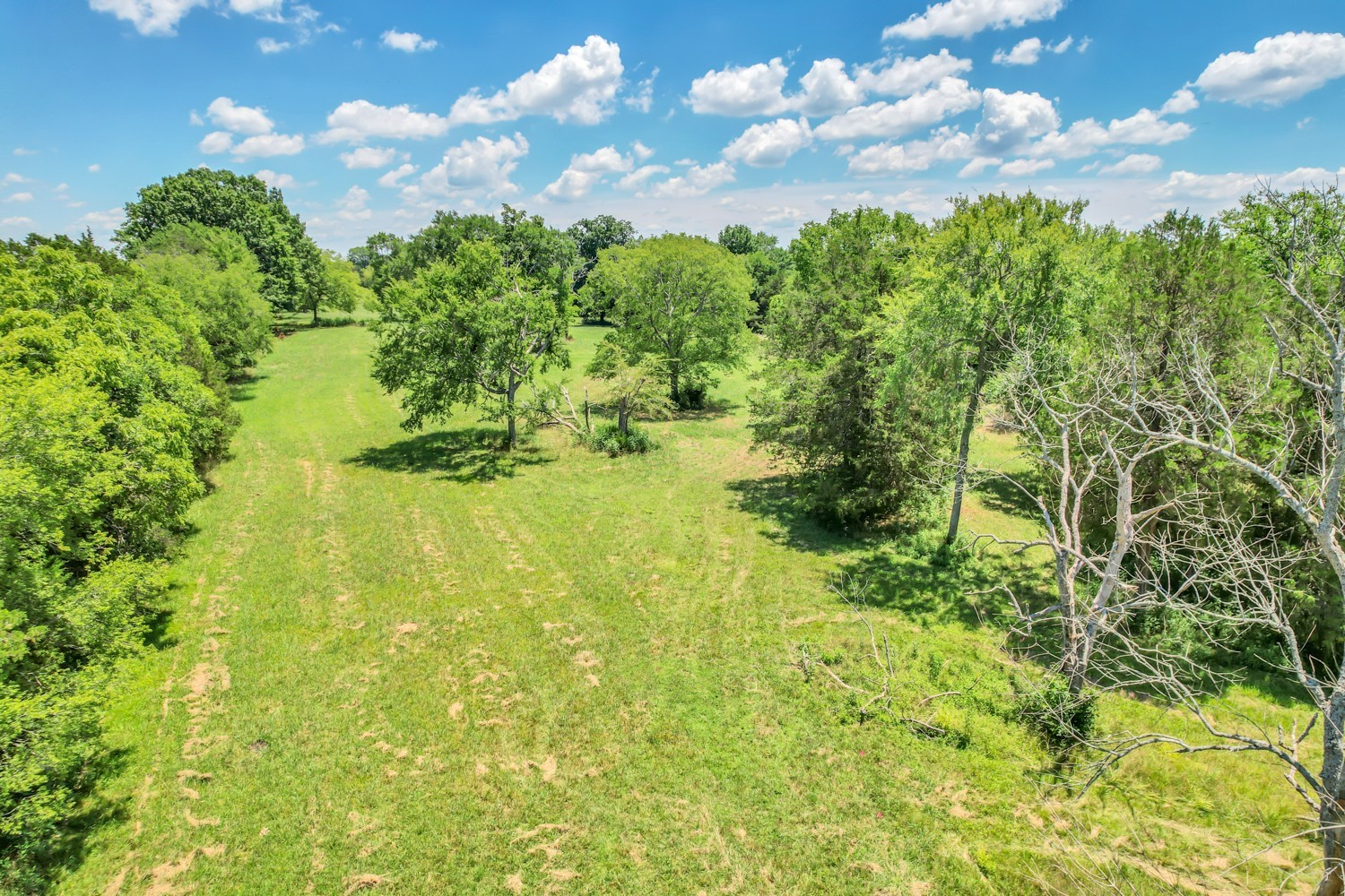 4 Sub Station Road Unionville, TN 37180 - Photo 20 of 40 Gallery Image 20