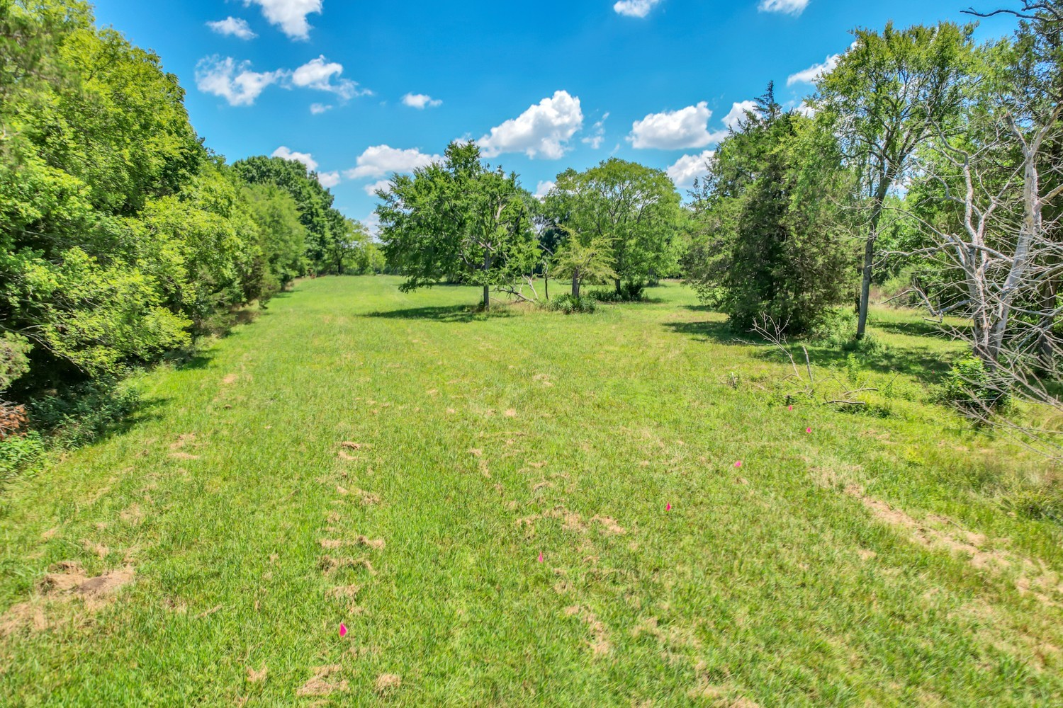 4 Sub Station Road Unionville, TN 37180 - Photo 21 of 40 Gallery Image 21