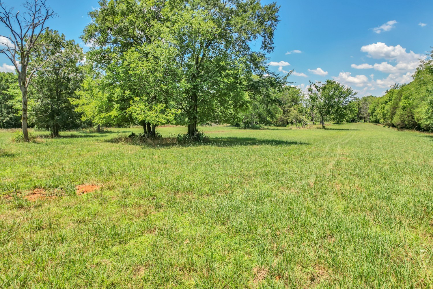 4 Sub Station Road Unionville, TN 37180 - Photo 22 of 40 Gallery Image 22