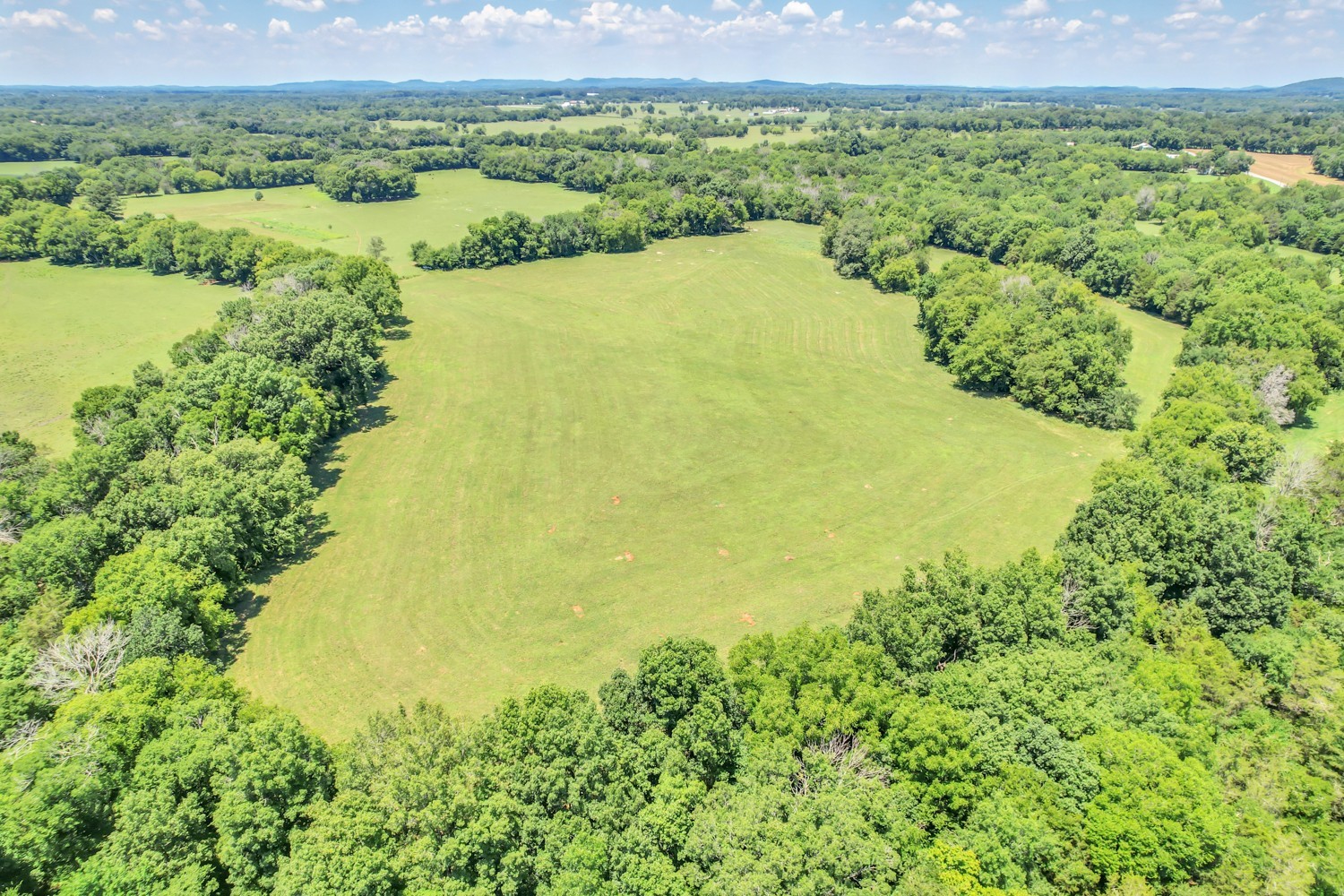 4 Sub Station Road Unionville, TN 37180 - Photo 37 of 40 Gallery Image 37