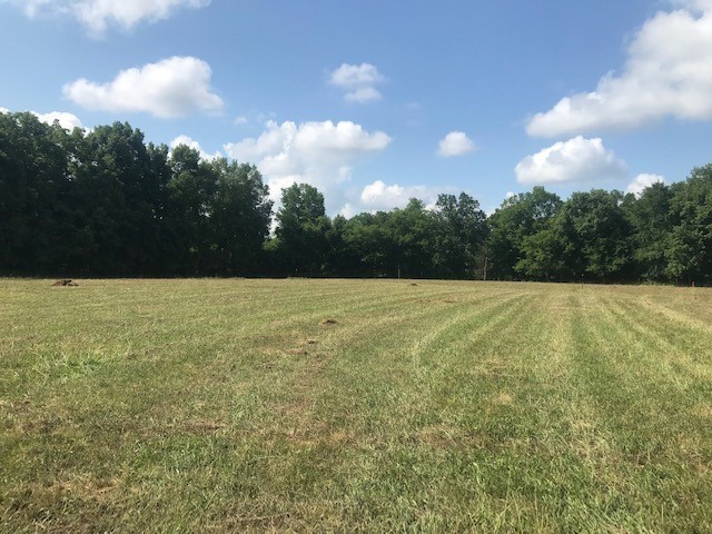4 Sub Station Road Unionville, TN 37180 - Photo 5 of 40 Gallery Image 5