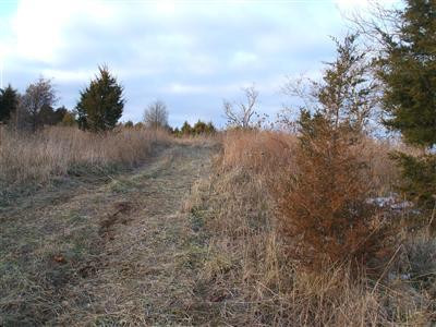18 Crooked Creek Road Lexington, KY 40508 - Photo 13 of 42 Photo 13