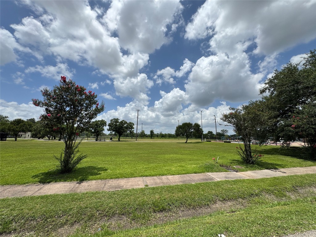 5510 Haight Street Houston, TX 77028 - Photo 24 of 26 a view of a big yard with a big and trees