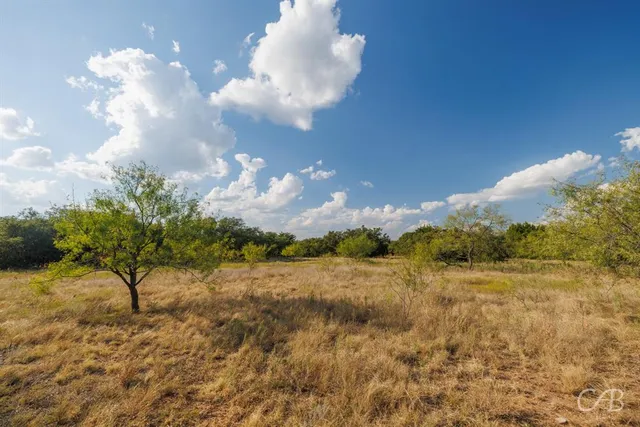 a view of a lake and mountain in the background