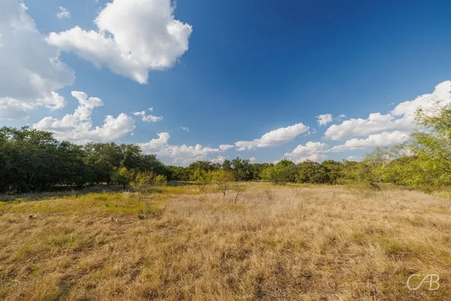 a view of a big yard