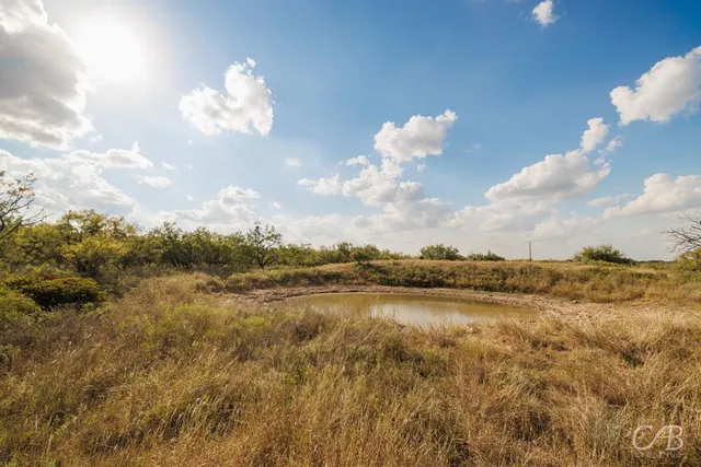 a view of a lake in middle of forest