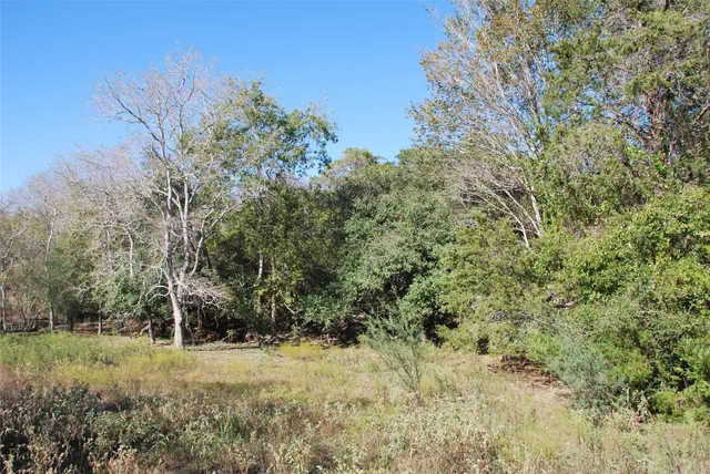 a view of mountain view with trees